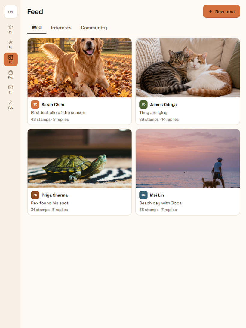 Feed