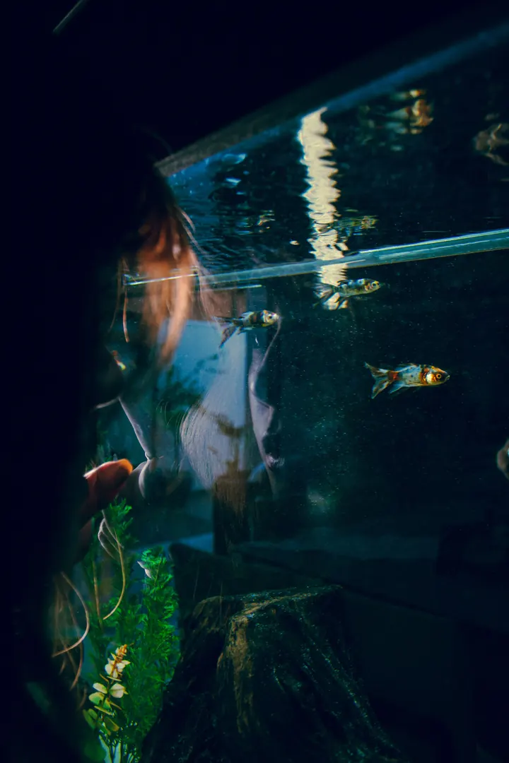 Aquatics