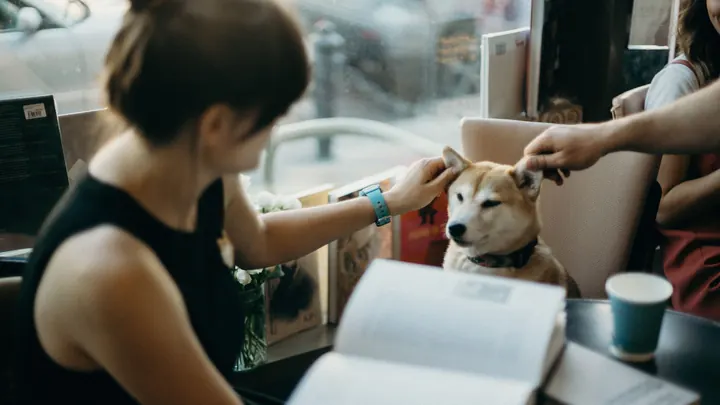 Pet-friendly business