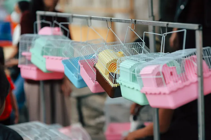 Retail