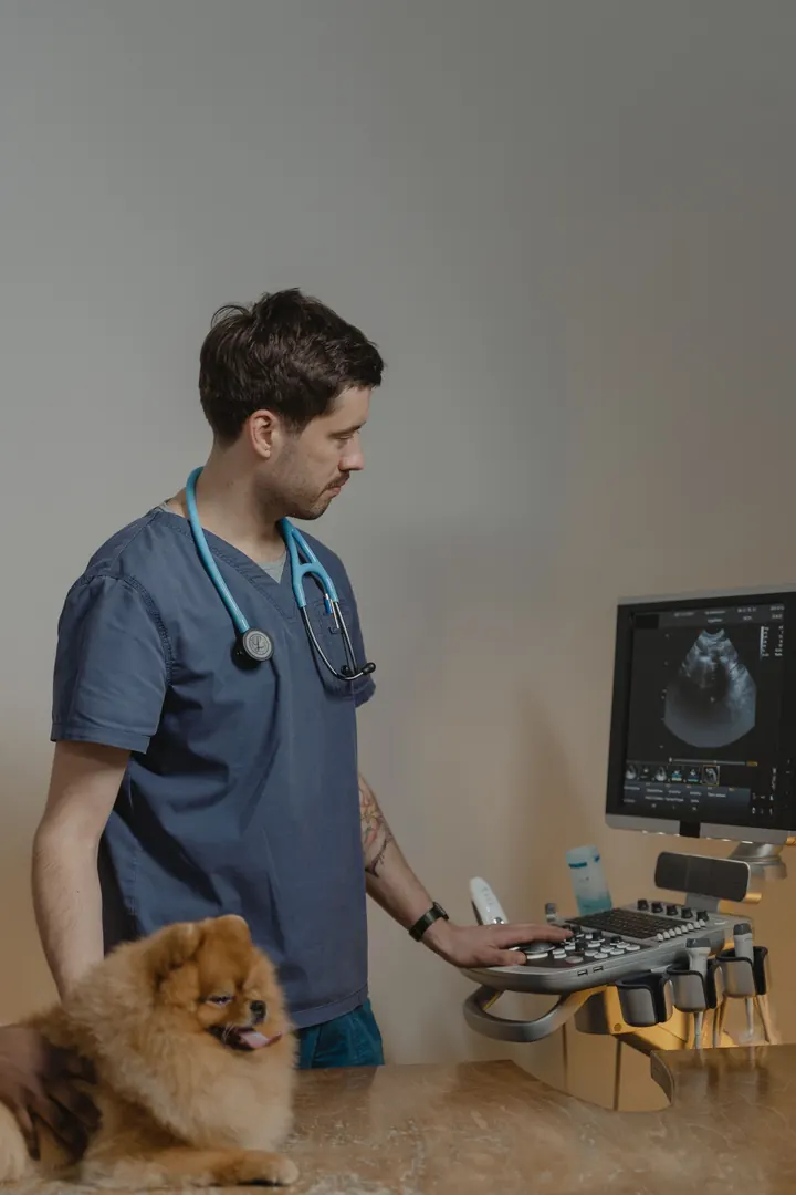 Veterinary